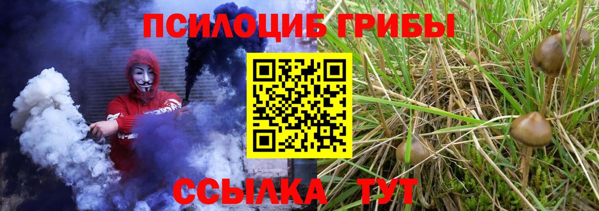 Псилоцибиновые грибы Psilocybe Корсаков